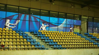 九游娱乐app官网-澳大利亚队未来如何利用青训体系打造新一代乒乓巨星，澳大利亚乒乓球